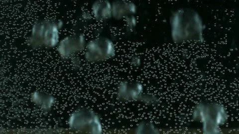 Bubbles in the water. Oxygen in the water bubble. Water background texture H20. Stock Footage 204893940