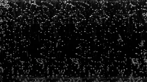 Bubbles in the water, soda. Stock Footage 81858035