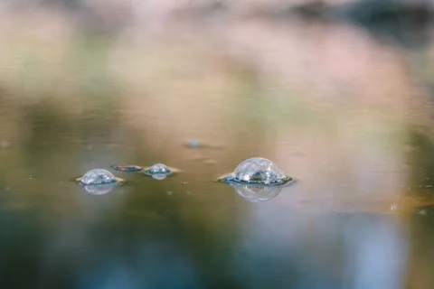 Bubbles on the water surface Stock Photos