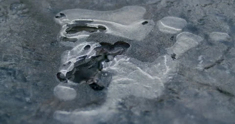 Bubbles of water trapped under ice in frozen stream that is melting Stock Footage 278524067