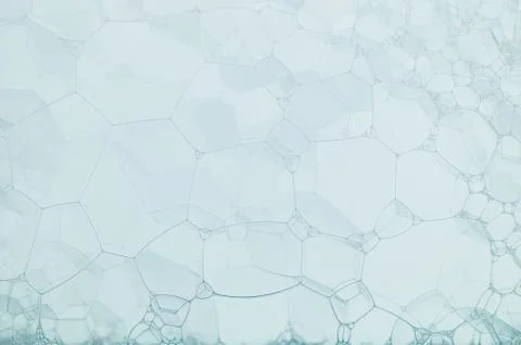 Bubbles in the white background Stock Photos