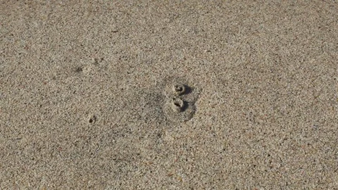 Bubbles on the white sand Stock Footage 294853756
