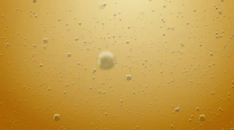 Bubbles in Wine or Bear Stock Footage 10589297