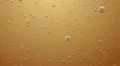 Bubbles in Wine or Bear. Loop HD Footage