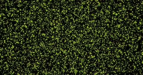 Bubbles of yellow shades Stock Footage 140812432