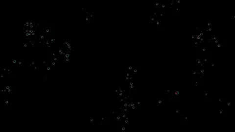 Bubbles05 Video stock 343869239