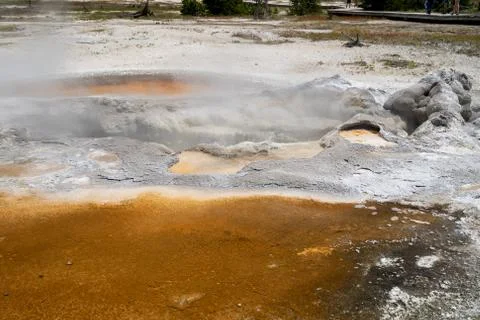 Bubbling and steaming Avoca Spring in Biscuit Basin area of Yellowstone Natio Stock Photos
