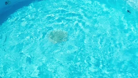 Bubbling blue water in the pool 스톡 동영상 294987778