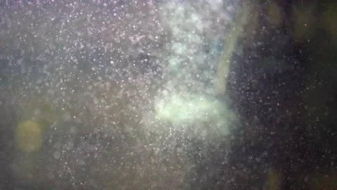 Bubbling blurry bubbles in the aquarium Stock Footage 145748988