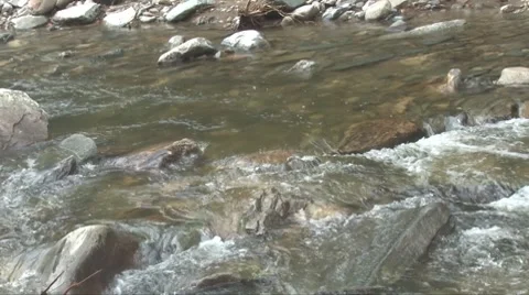 Bubbling Brook 스톡 동영상 8679296
