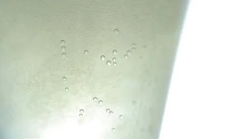 Bubbling Champagne Stock Footage 8908534