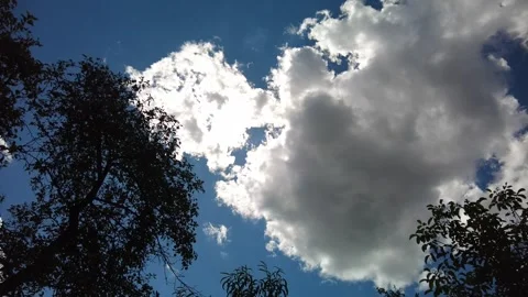 Bubbling cloud above treetop almost hit by the plane Stock Footage 273740407