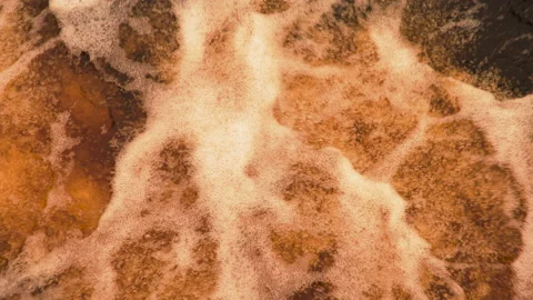 Bubbling Foamy Drink 4K Stock Footage 142605823