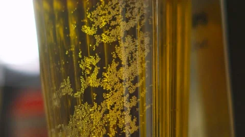 Bubbling Fresh Lager with Lined Beer Glass with Bubbles Rising in Slow Motion Stock Footage 315741995