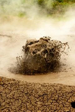 Bubbling geothermal mud in action Stock Photos