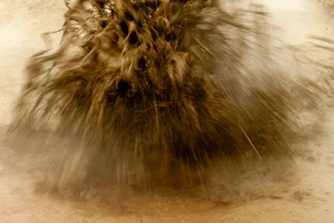 Bubbling geothermal mud in action Stock Photos