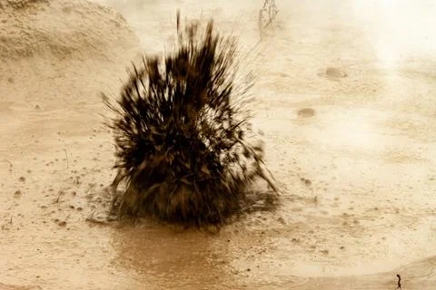 Bubbling geothermal mud in action Stock Photos