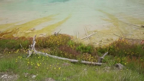 Bubbling Geyser Stock Footage 79514912