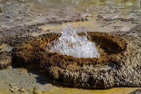 Bubbling Geyser Stock Photos
