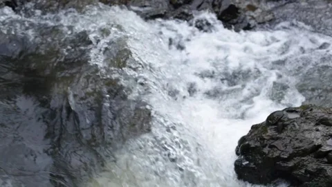 A bubbling mountain river. Stock Footage 266764599