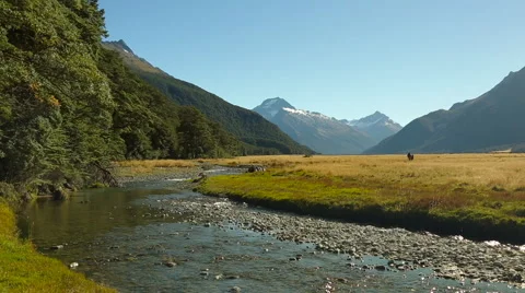 Bubbling mountain stream near Broderick Hut, New Zealand Video stock 55529654