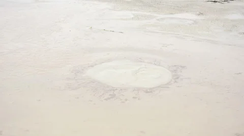 Bubbling mud 4K Stock Footage 68051315