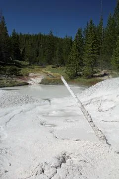 Bubbling Mud Pots Stock Photos