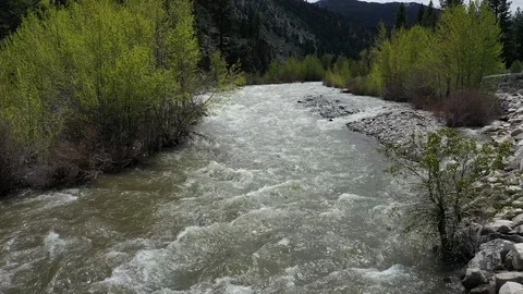 BUBBLING RIVER CLIMBING OVER TREES 库存影片 115651080