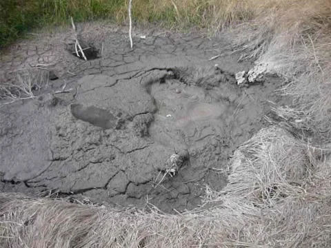 Bubbling Rotorua Stock Footage 226157192