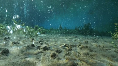 Bubbling sand and aquatic plants at the bottom of ascending bubbles pond,Italy Stock Footage 127287285