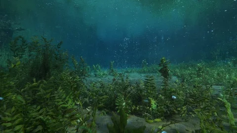 Bubbling sand and aquatic plants at the bottom of ascending bubbles pond,Italy Stock Footage 127288897