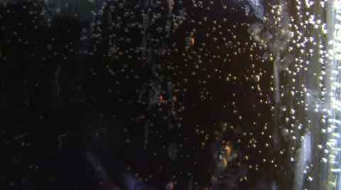 Bubbling soda Stock Footage 35567157
