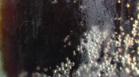 Bubbling soda Stock Footage 35567373