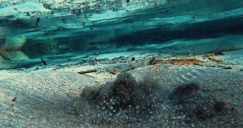 Bubbling source of clear water underwater. Stock Footage 252274921
