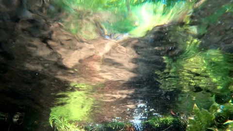 Bubbling spring, clean drinking water from the rock, spring Water, 4K Stock Footage 92743115