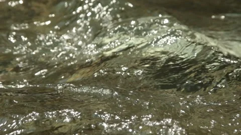 Bubbling stream Stock Footage 192789399
