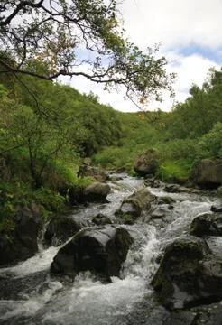 Bubbling stream Stock Photos