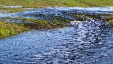 A bubbling stream in the spring steppe. Juicy young grass on the shores Stock Footage 75047539