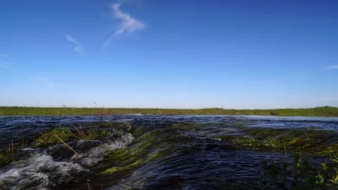 A bubbling stream in the spring steppe. Juicy young grass on the shores Stock Footage 75047619