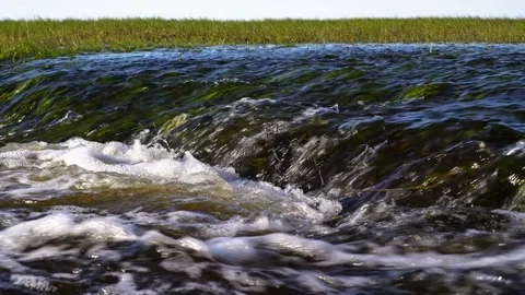 A bubbling stream in the spring steppe. Juicy young grass on the shores Video stock 75155338