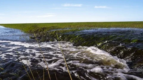 A bubbling stream in the spring steppe. Juicy young grass on the shores Stock Footage 75155433