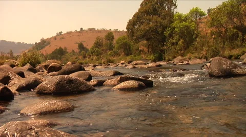 Bubbling Trout Stream in hillside, Wide Stock Footage 52811891