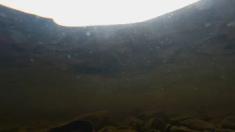 Bubbling underwater timelapse in a lake with algae, rocks, and shimmering light Stock Footage 305018171