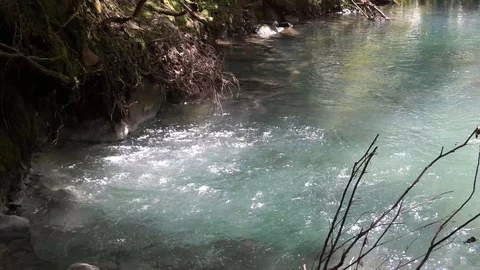 Bubbling vent in Rio Celeste with audio Stock Footage 91271483