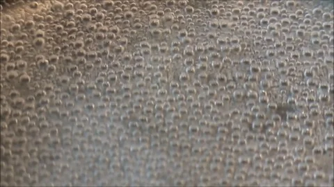 Bubbling water Stock-Footage 75927535