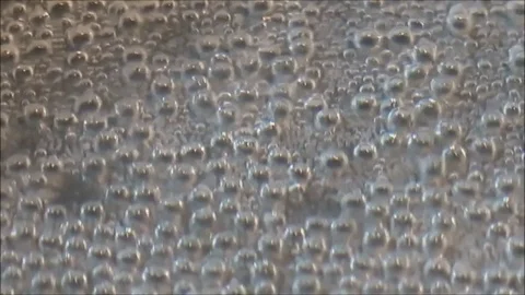 Bubbling water Stock-Footage 75927561