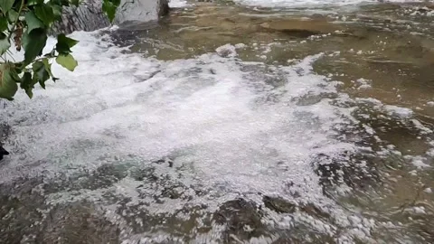Bubbling water in a stream in a forest. Stock Footage 232340222