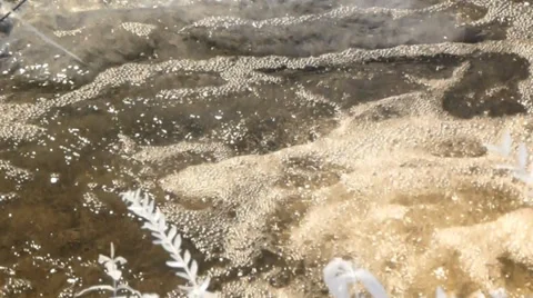 Bubbling water from a waterfall Video stock 38503651