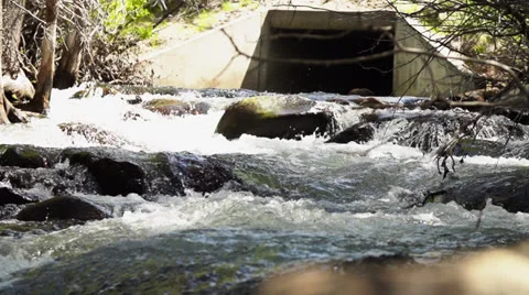 Bubbling Yosemite River Stock Footage 26676010