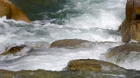 Bubbly Clear Waters Flowing Between the Stones Vídeo Stock 334732552